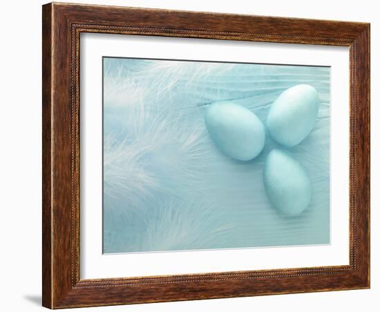 Blue Eggs and Feathers-Steve Lupton-Framed Photographic Print