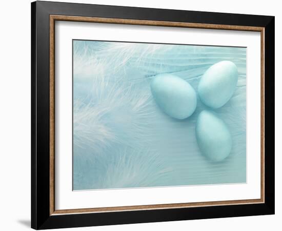 Blue Eggs and Feathers-Steve Lupton-Framed Photographic Print