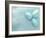 Blue Eggs and Feathers-Steve Lupton-Framed Photographic Print