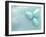 Blue Eggs and Feathers-Steve Lupton-Framed Photographic Print