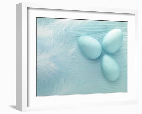 Blue Eggs and Feathers-Steve Lupton-Framed Photographic Print