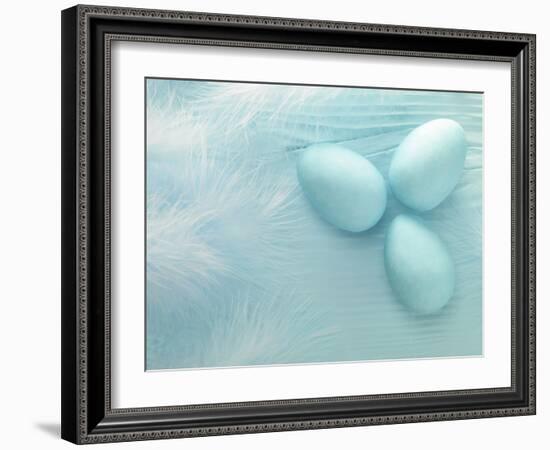 Blue Eggs and Feathers-Steve Lupton-Framed Photographic Print