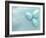 Blue Eggs and Feathers-Steve Lupton-Framed Photographic Print