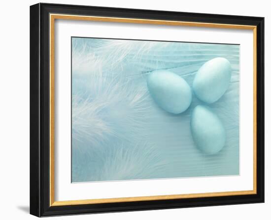 Blue Eggs and Feathers-Steve Lupton-Framed Photographic Print