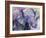 Blue Elephant-Richard Wallich-Framed Giclee Print