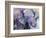 Blue Elephant-Richard Wallich-Framed Giclee Print