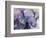 Blue Elephant-Richard Wallich-Framed Giclee Print