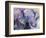 Blue Elephant-Richard Wallich-Framed Giclee Print