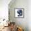 Blue Exclusion I-Jennifer Goldberger-Framed Art Print displayed on a wall