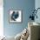 Blue Exclusion III-Jennifer Goldberger-Framed Premium Giclee Print displayed on a wall