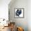 Blue Exclusion III-Jennifer Goldberger-Framed Premium Giclee Print displayed on a wall