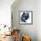 Blue Exclusion III-Jennifer Goldberger-Framed Premium Giclee Print displayed on a wall