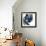 Blue Exclusion III-Jennifer Goldberger-Framed Premium Giclee Print displayed on a wall