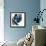 Blue Exclusion III-Jennifer Goldberger-Framed Premium Giclee Print displayed on a wall