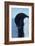 Blue-Eyed Adelie Penguin-Charles Glover-Framed Giclee Print