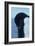 Blue-Eyed Adelie Penguin-Charles Glover-Framed Giclee Print