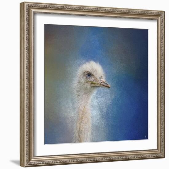 Blue Eyed Beauty Ostrich-Jai Johnson-Framed Giclee Print