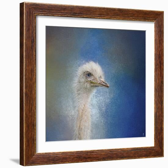 Blue Eyed Beauty Ostrich-Jai Johnson-Framed Giclee Print