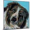 Blue Eyed Dog-Carolee Vitaletti-Mounted Art Print