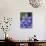 Blue Eyed Grass Near Devine, Texas, USA-Darrell Gulin-Photographic Print displayed on a wall