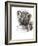 Blue Eyes (Arabian Leopard Cub), 2008-Mark Adlington-Framed Giclee Print