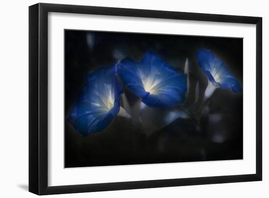 Blue Eyes Blue-Barbara Simmons-Framed Giclee Print