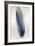 Blue Feather on Silver I-Julia Bosco-Framed Art Print
