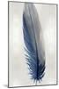 Blue Feather on Silver I-Julia Bosco-Mounted Art Print