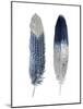 Blue Feather Pair-Julia Bosco-Mounted Art Print
