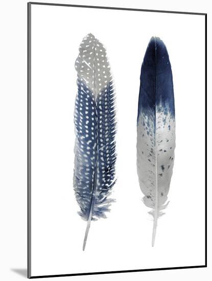 Blue Feather Pair-Julia Bosco-Mounted Art Print