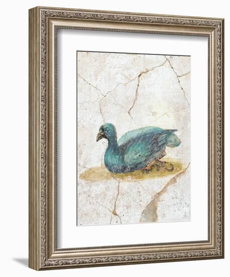 Blue Feathered Duck, C. 10-45-null-Framed Art Print