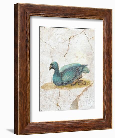 Blue Feathered Duck, C. 10-45-null-Framed Art Print