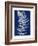 Blue Fern in White Border I-Elizabeth Medley-Framed Art Print