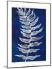 Blue Fern in White Border I-Elizabeth Medley-Mounted Art Print