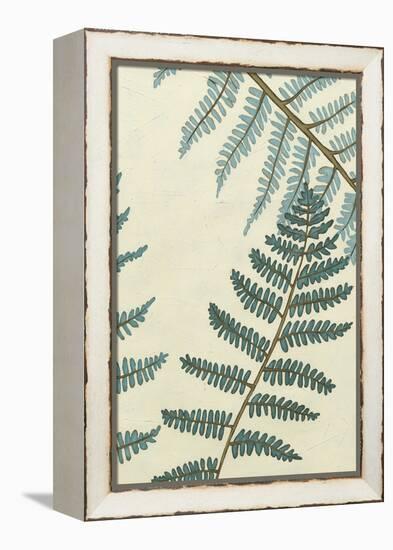 Blue Fern Trio II-Erica J. Vess-Framed Stretched Canvas