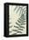 Blue Fern Trio II-Erica J. Vess-Framed Stretched Canvas