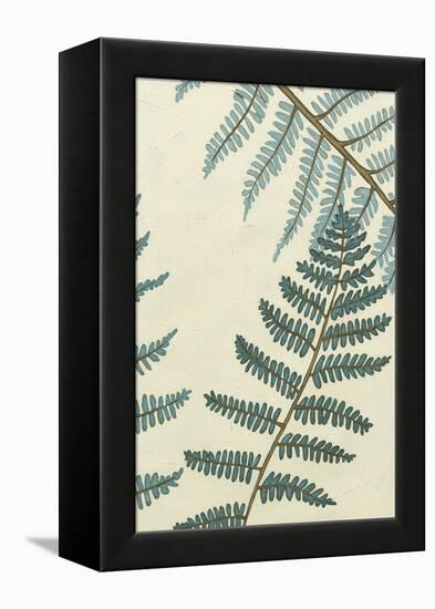 Blue Fern Trio II-Erica J. Vess-Framed Stretched Canvas