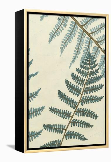 Blue Fern Trio II-Erica J. Vess-Framed Stretched Canvas