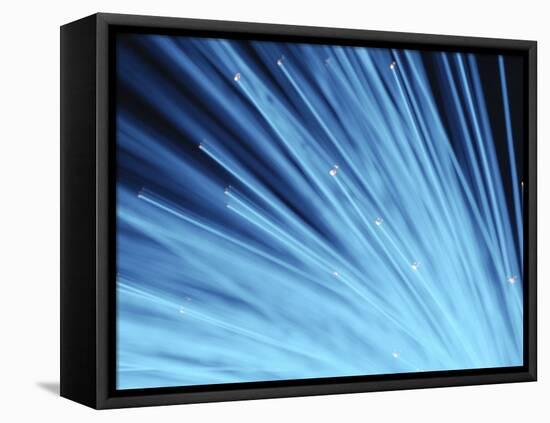 Blue Fiber Optic Wires Against Black Background-null-Framed Premier Image Canvas