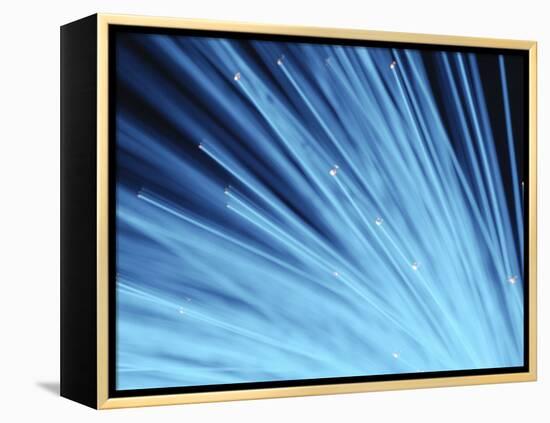 Blue Fiber Optic Wires Against Black Background-null-Framed Premier Image Canvas