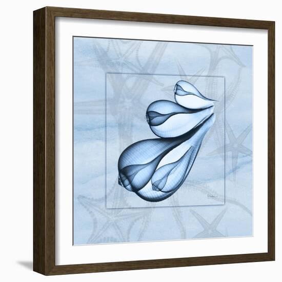 Blue Figs 1-Albert Koetsier-Framed Art Print