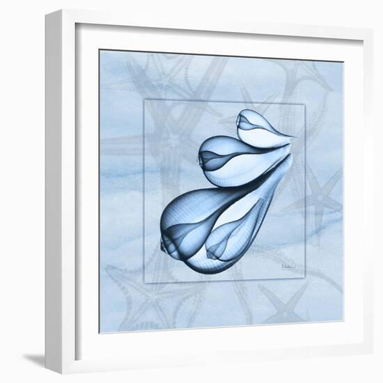 Blue Figs 1-Albert Koetsier-Framed Art Print