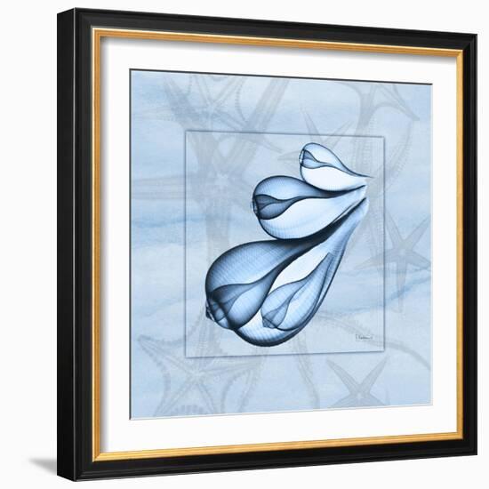 Blue Figs 1-Albert Koetsier-Framed Art Print