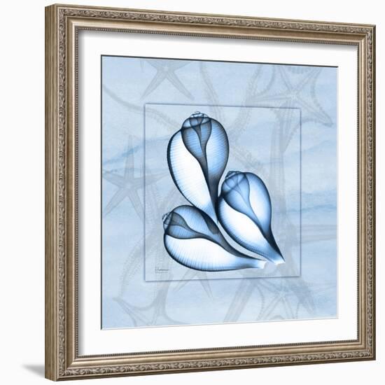 Blue Figs 2-Albert Koetsier-Framed Art Print