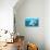 Blue fish-null-Giclee Print displayed on a wall