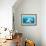 Blue fish-null-Framed Giclee Print displayed on a wall