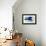 Blue Fishes Still Life-Little Dean-Framed Premier Image Canvas displayed on a wall