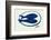 Blue Fishes Still Life-Little Dean-Framed Photographic Print