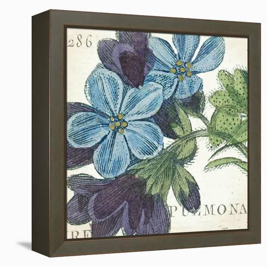 Blue Floral-Hugo Wild-Framed Stretched Canvas