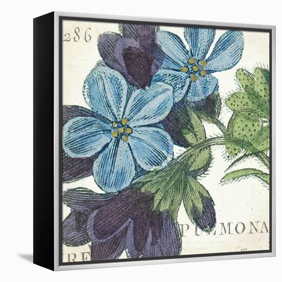 Blue Floral-Hugo Wild-Framed Stretched Canvas